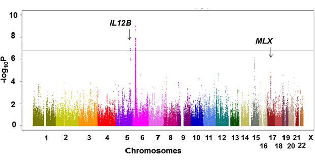 GWASの結果、各染色体上のSNP（X軸）と関連の強さ（Y軸）を示す。
