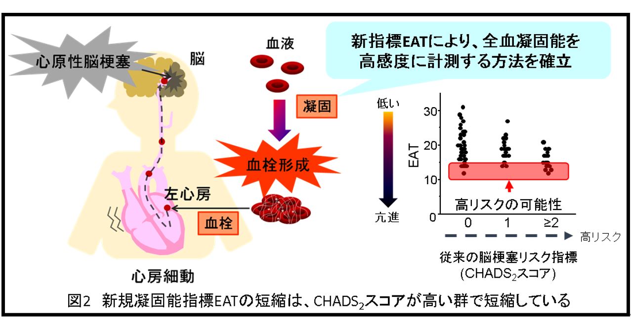 血液凝固| けつえきぎょうこ| 血液凝固。 是什麼意思？-日文字典，日文中文（繁體）字典Mazii